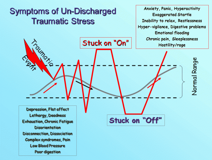 what-it-looks-like-on-a-graph-discovery-healing-discovery-healing